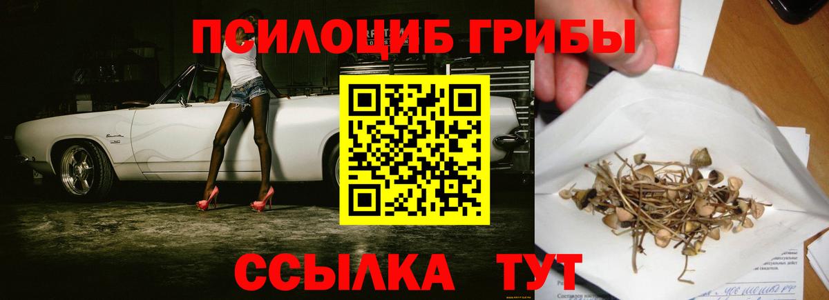 Галлюциногенные грибы Cubensis Скопин